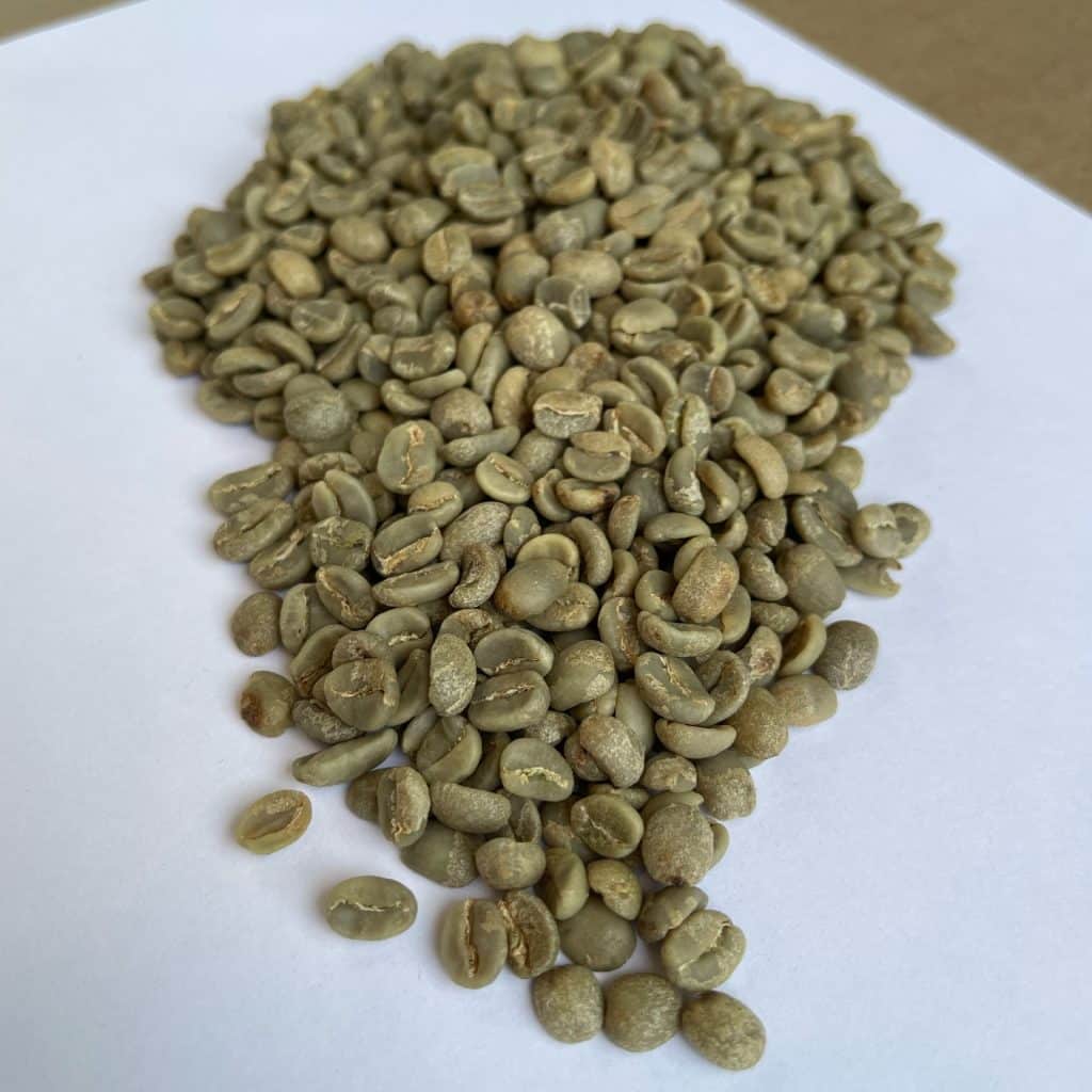 Green coffee Gicumbi FW15+_2