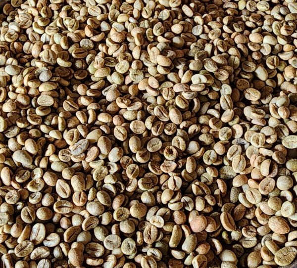 Robusta Natural 16