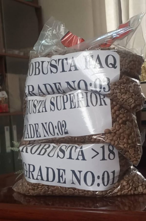 Robusta NT 16